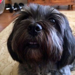 Meet your Posher, Kathy